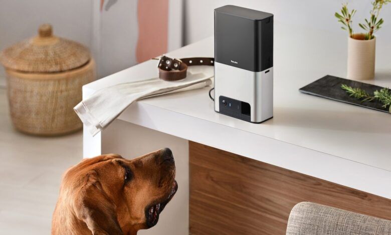 Стартап Petcube офіційно став резидентом Дія City