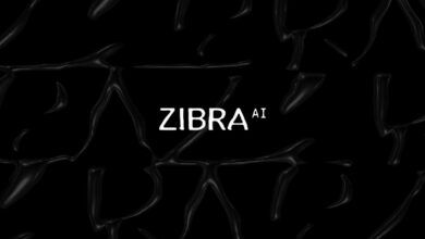 Українська компанія Zibra AI запустила інструмент ZibraVDB