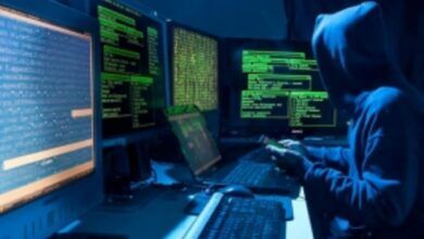Найпоширеніші види кіберзлочинів у 2024 році