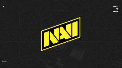 Кіберспортивна організація NAVI