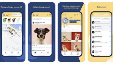 DogsNavigator – соцмережа для власників собак від українських розробників