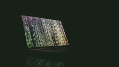 Санкції проти провайдера Zservers