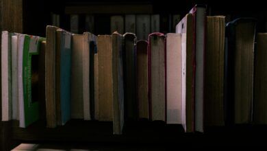 Meta ШІ авторські права на книги та судовий позов