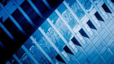 Найбільші продуктові IT-компанії України у 2025 році