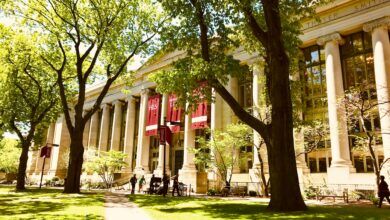 Harvard: чому Зака Ядегарі не беруть у виші