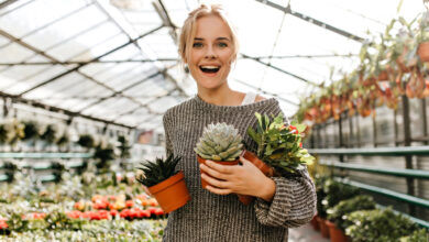 Український застосунок PlantIn очолив світовий рейтинг App Store