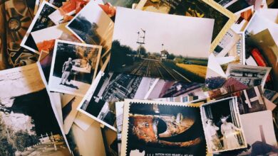 Google оновила редактор Google Photos: нові інструменти на базі ШІ