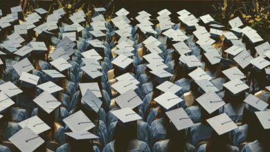 Світові тренди в EdTech та їхній вплив на українську освіту