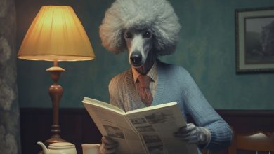 В Україні стартує грантова програма для стартапів Startup EDGE з бюджетом 1 млн євро