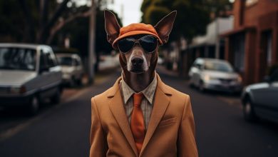 Інвестиційна компанія InSoft.Partners: вихід з Perfsol, інвестиції в Inoxoft та продаж Upsky