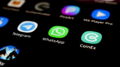 WhatsApp забороняє чат-боти на основі ШІ — з платформи зникнуть ChatGPT і Perplexity