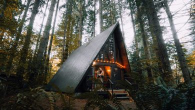 Airbnb: третину звернень у США та Канаді вже обробляє AI