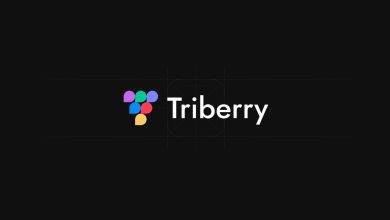 ZAS Ventures інвестував у український AI-стартап Triberry