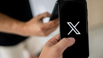 Сенаторка вказала на ризики X Money і вимагає пояснень від Маска