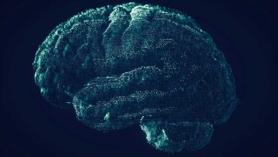 Компанії почали обмежувати використання ШІ через різке зростання витрат
