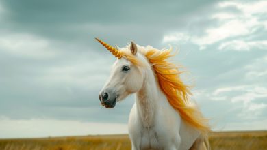 Перший єдиноріг у портфелі Toloka.VC: німецький стартап FINN оцінили в €1+ млрд