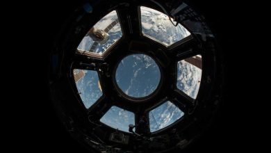 SpaceXAI представила Grok 4.5: Ілон Маск заявив про конкуренцію з Anthropic Opus