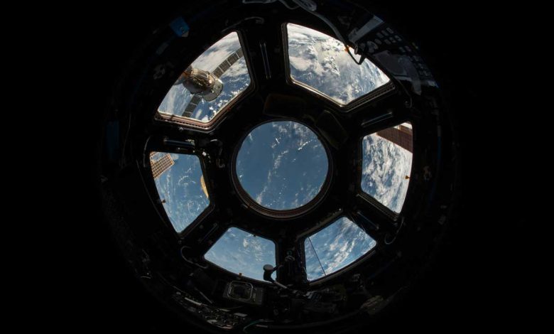 SpaceXAI представила Grok 4.5: Ілон Маск заявив про конкуренцію з Anthropic Opus