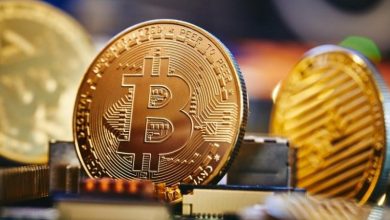 CEO BlackRock: надмірне кредитне плече «очистило» крипторинок і зробило його стабільнішим