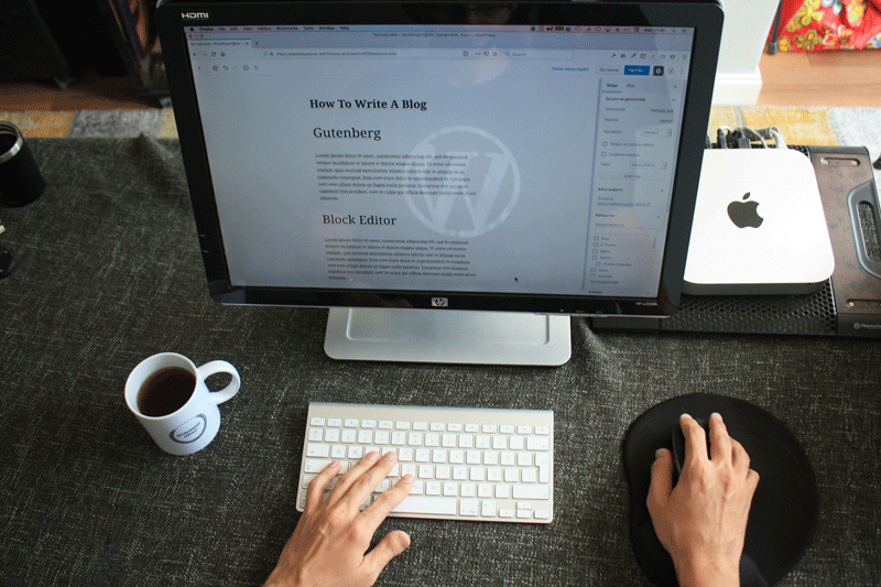 WordPress.com запустив безкоштовний тариф для студентів із власним доменом