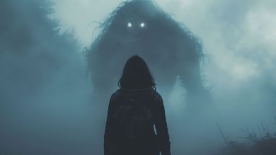 Українська продуктова IT-група Universe Group оголосила про скорочення 22% штату