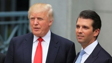 Сенатор США закликав розслідувати криптопроєкти сім’ї Трампа